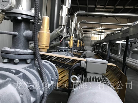 羅茨鼓風機正負荷運行.jpg