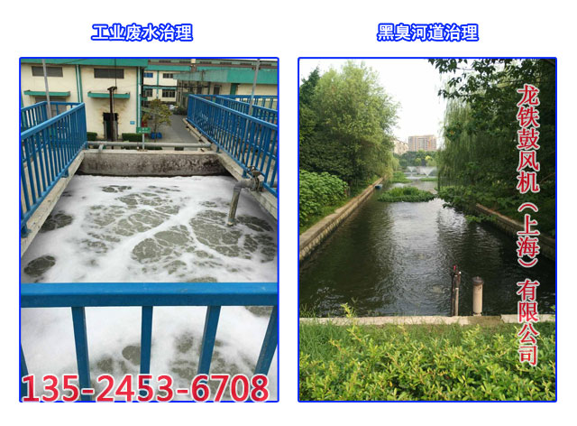 污水處理鼓風(fēng)機(jī)實(shí)用案例