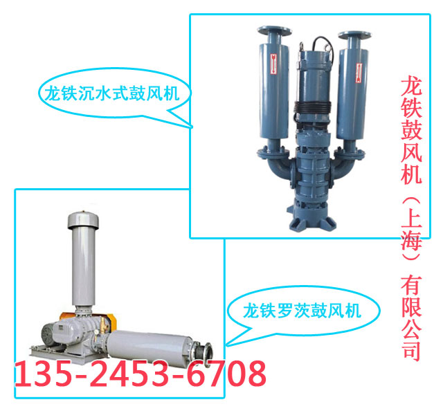 龍鐵黑臭河道治理羅茨鼓風機