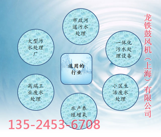 污水治理專用羅茨風(fēng)機應(yīng)用.jpg
