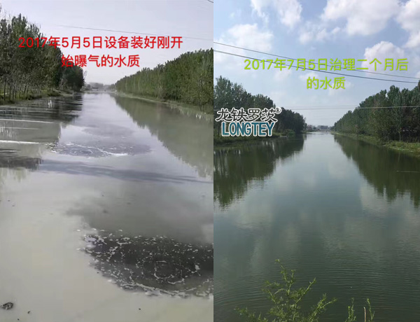 沉水風機治理前后對比圖