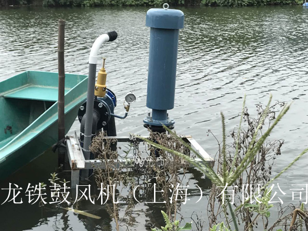 龍鐵沉水式鼓風機多少錢？.jpg